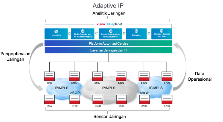 Diagram Adaptive IP Ciena